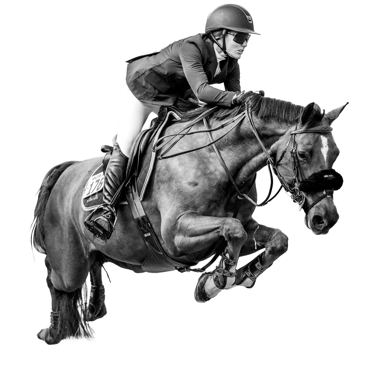 split-rock-santa-anita